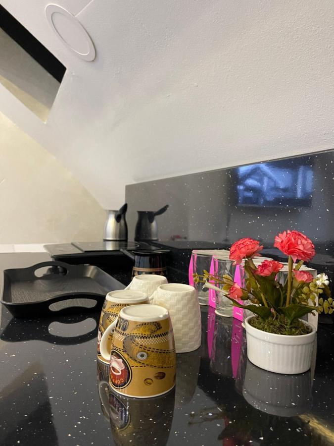נובי פאזאר Luna Apartment מראה חיצוני תמונה