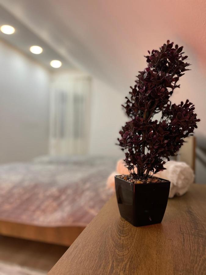 נובי פאזאר Luna Apartment מראה חיצוני תמונה