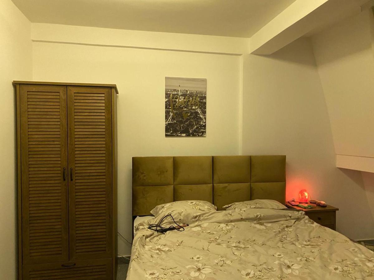 נובי פאזאר Luna Apartment מראה חיצוני תמונה